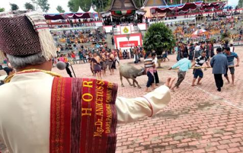  Mangalahat Horbo, Tradisi Kurban Khas Batak